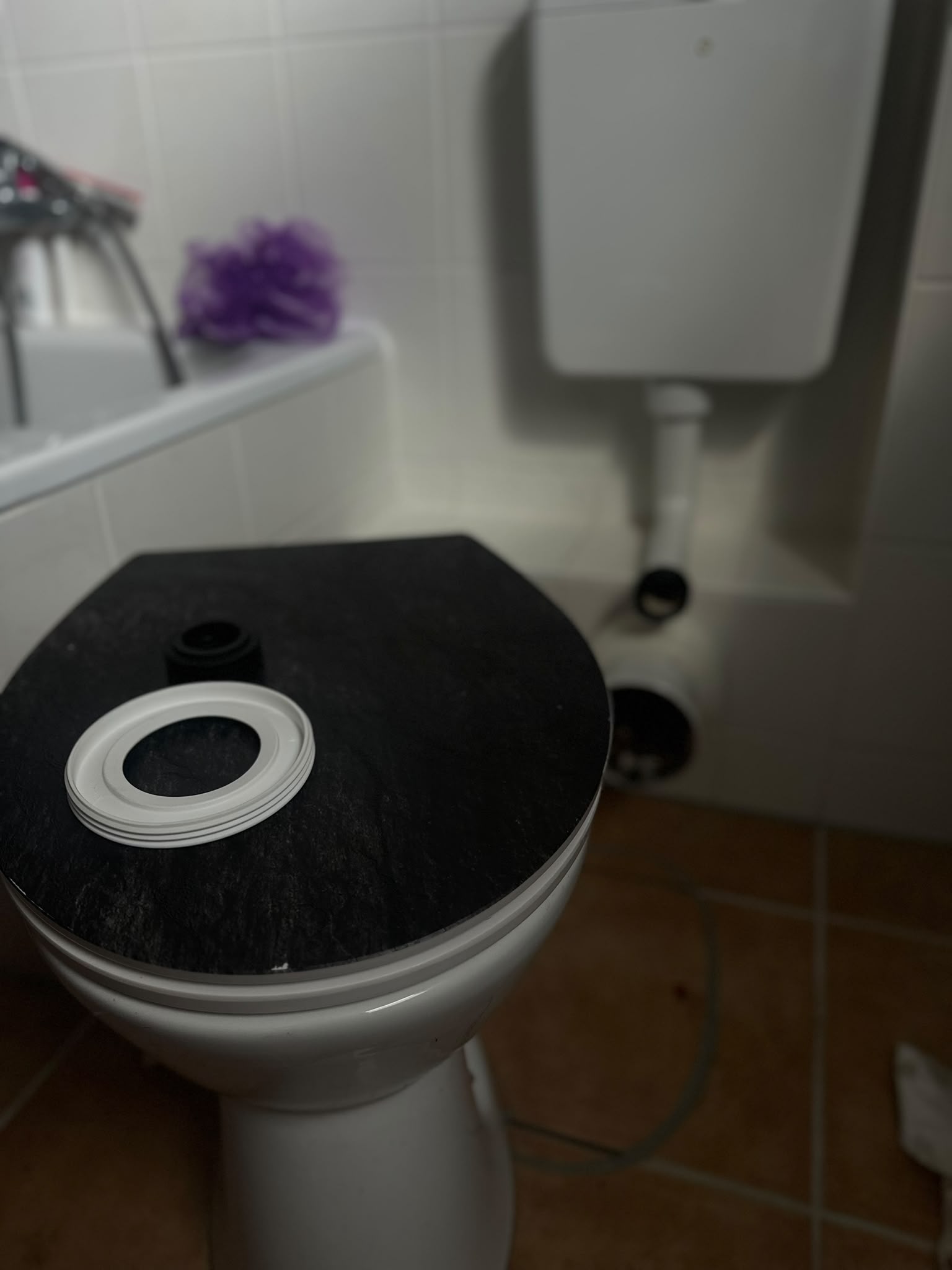 WC Verstopfung vorher